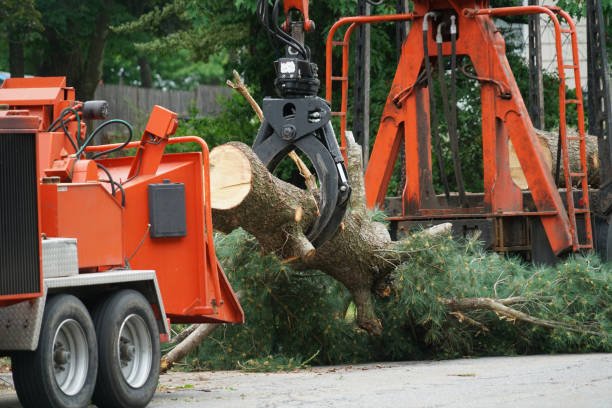 Best Tree Mulching  in Redstone Arsen, AL